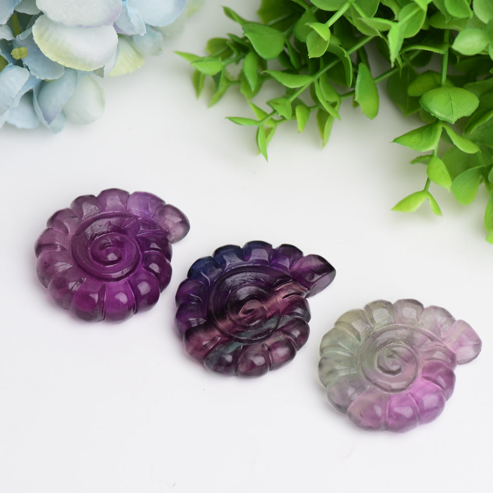 2.0" Fluorite Ammonite Shell Crystal Carving Animal Bulk Best Crystal Wholesalers