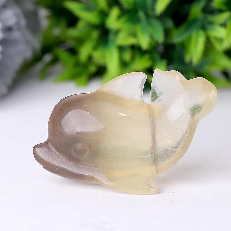 2.5" Fluorite Dolphin Crystal Carvings Animal Bulk Best Crystal Wholesalers