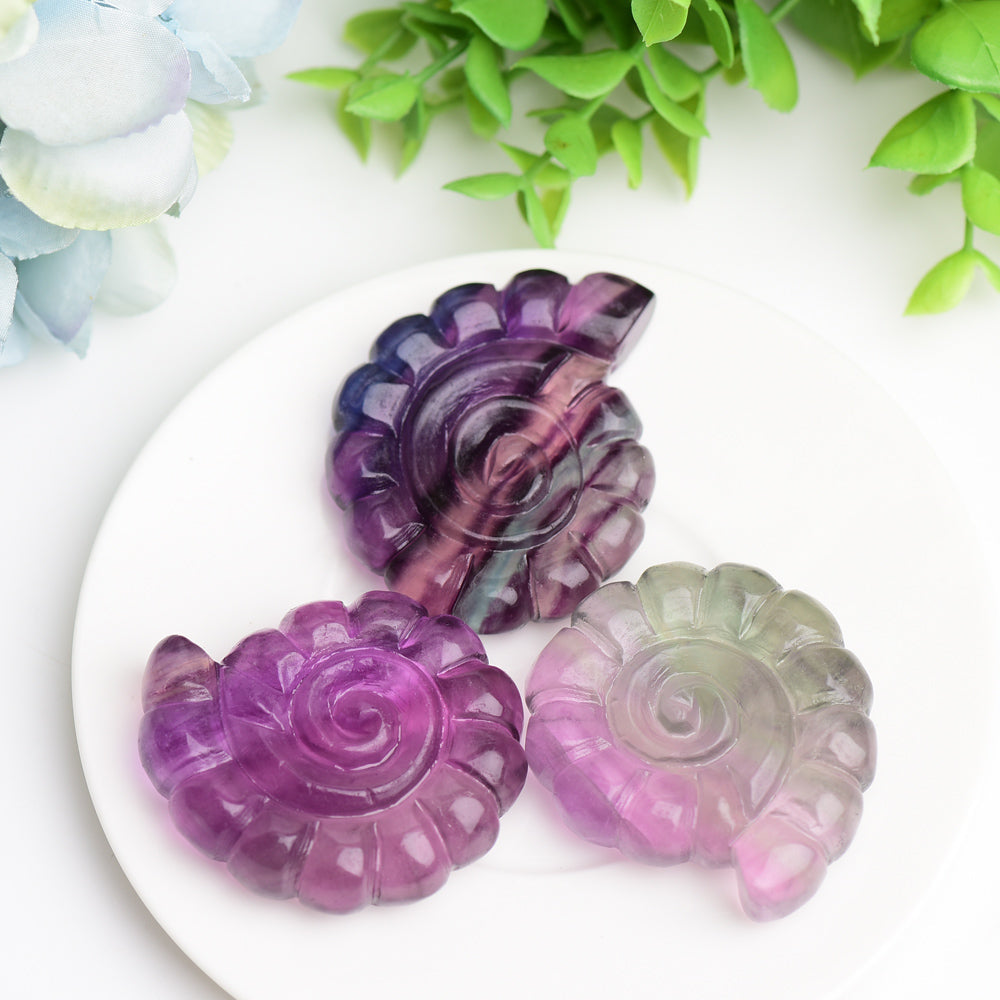 2.0" Fluorite Ammonite Shell Crystal Carving Animal Bulk Best Crystal Wholesalers