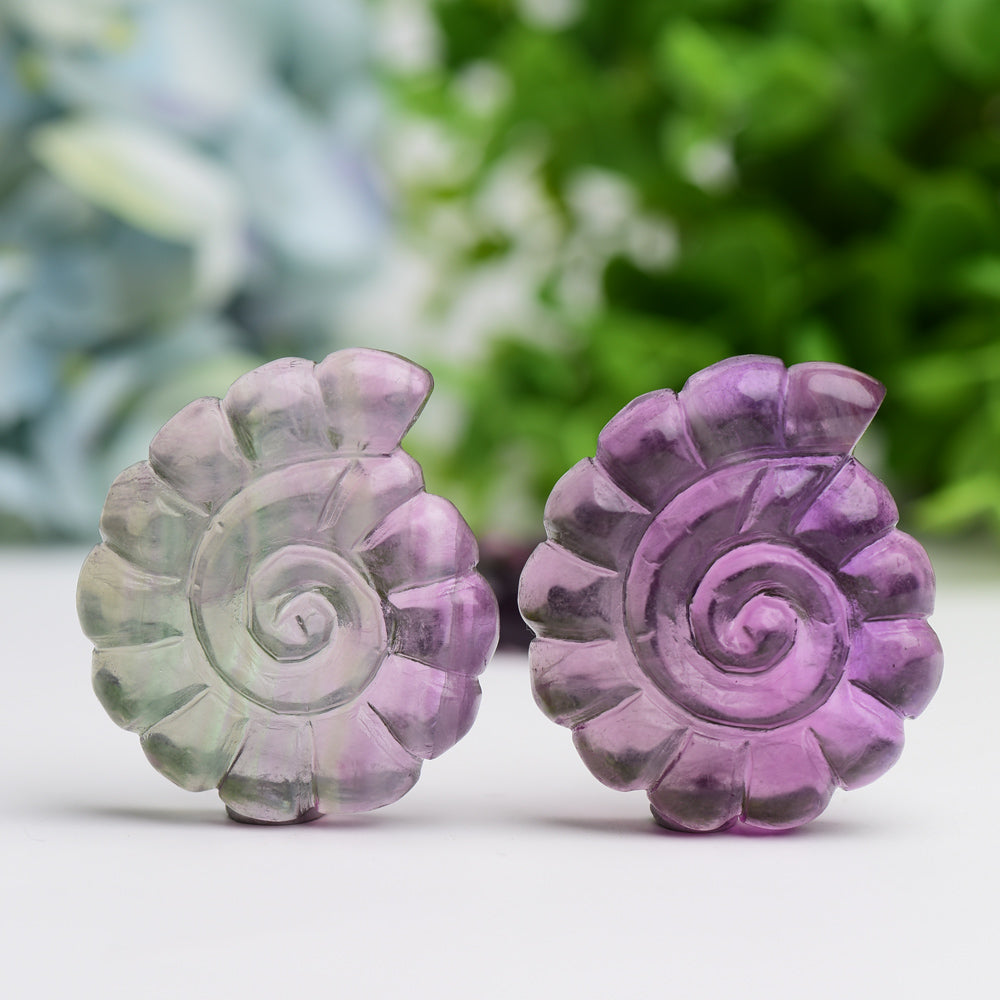 2.0" Fluorite Ammonite Shell Crystal Carving Animal Bulk Best Crystal Wholesalers