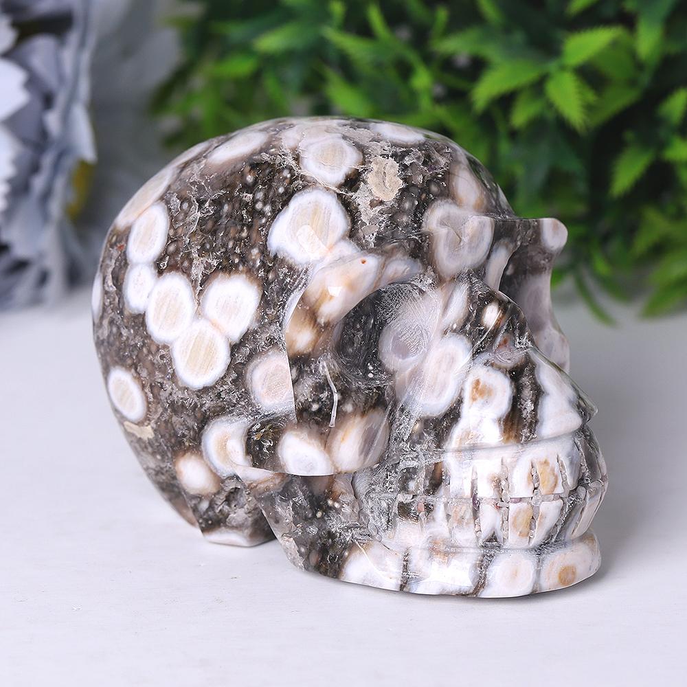 Ocean Jasper Crystal Skull Carvings Best Crystal Wholesalers