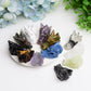 1.8" Mixed Crystal Dragon Head Animal Crystal Carving Bulk Best Crystal Wholesalers