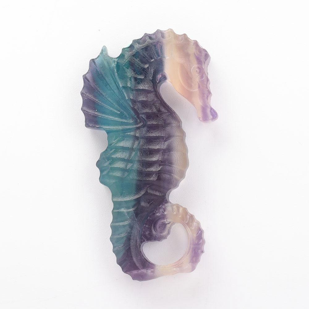 Fluorite Hippocampus Carvings Animal Bulk Best Crystal Wholesalers