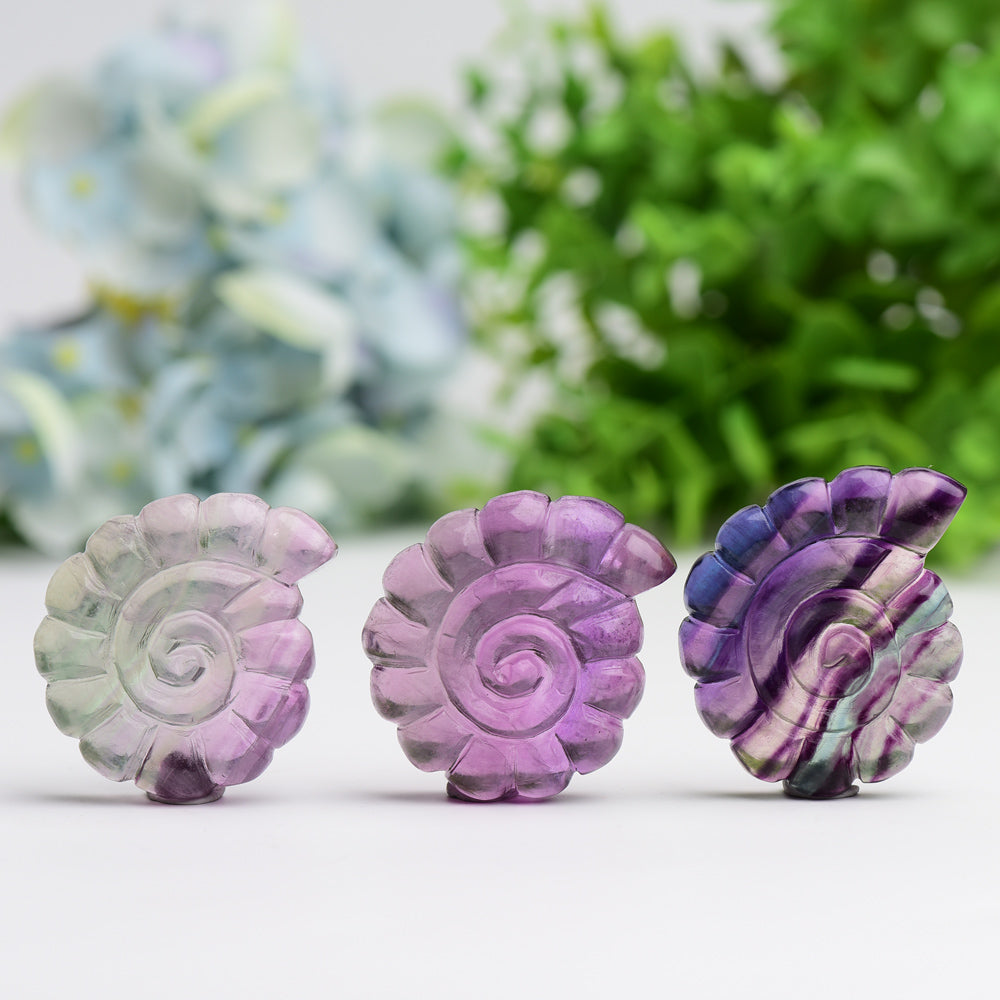 2.0" Fluorite Ammonite Shell Crystal Carving Animal Bulk Best Crystal Wholesalers